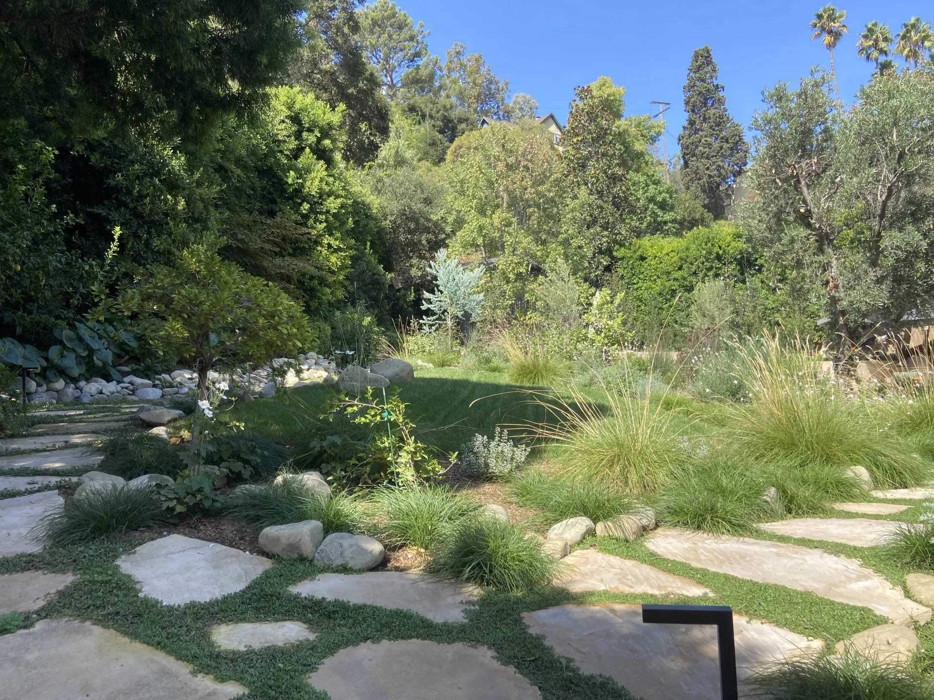 Natural stone pathway through lush garden
