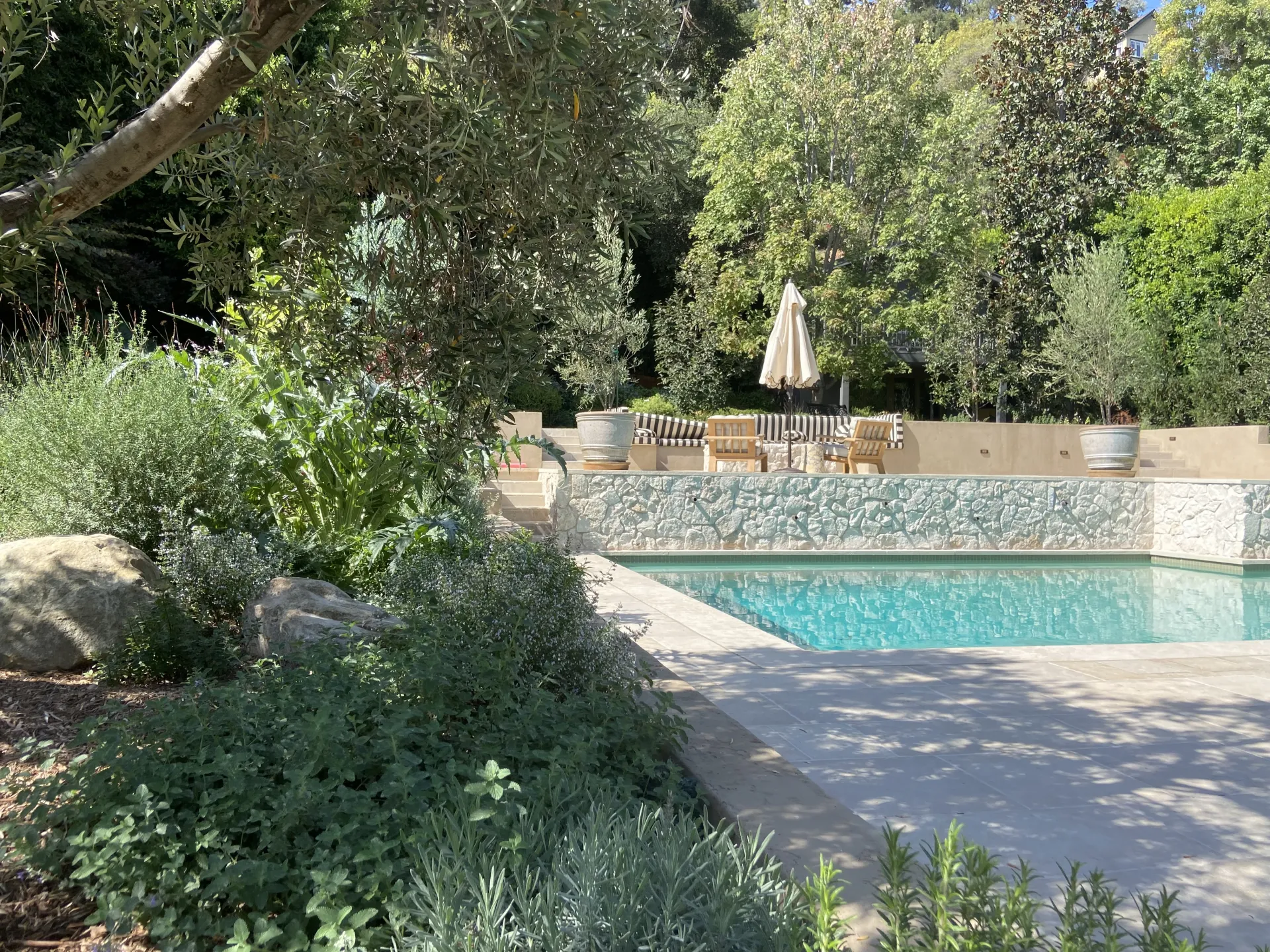 Natural pool with boulder edging and olive trees