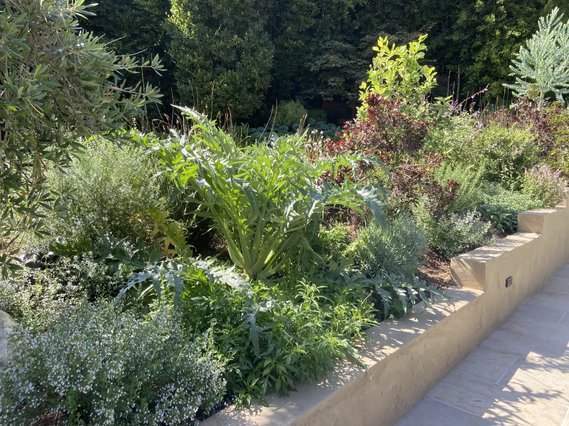 Natural stone steps through garden